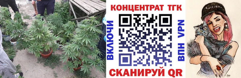 Дистиллят ТГК концентрат Нижневартовск