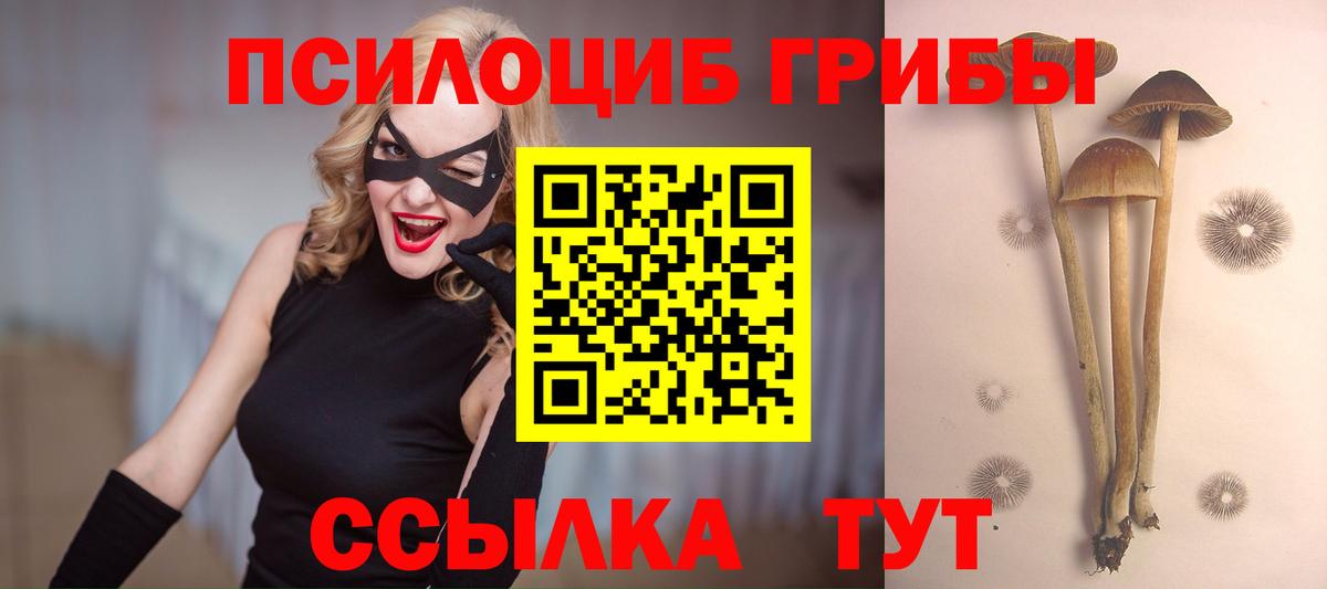 Галлюциногенные грибы MAGIC MUSHROOMS Нижневартовск